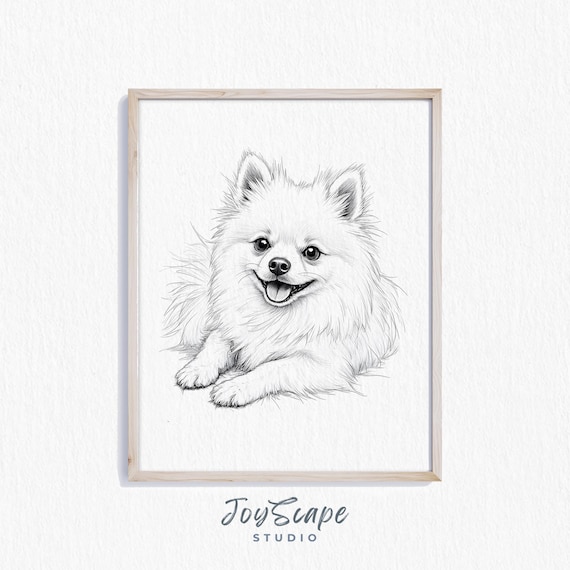 ポメラニアン犬の肖像画アートプリント - かわいい白黒スケッチ、魅力