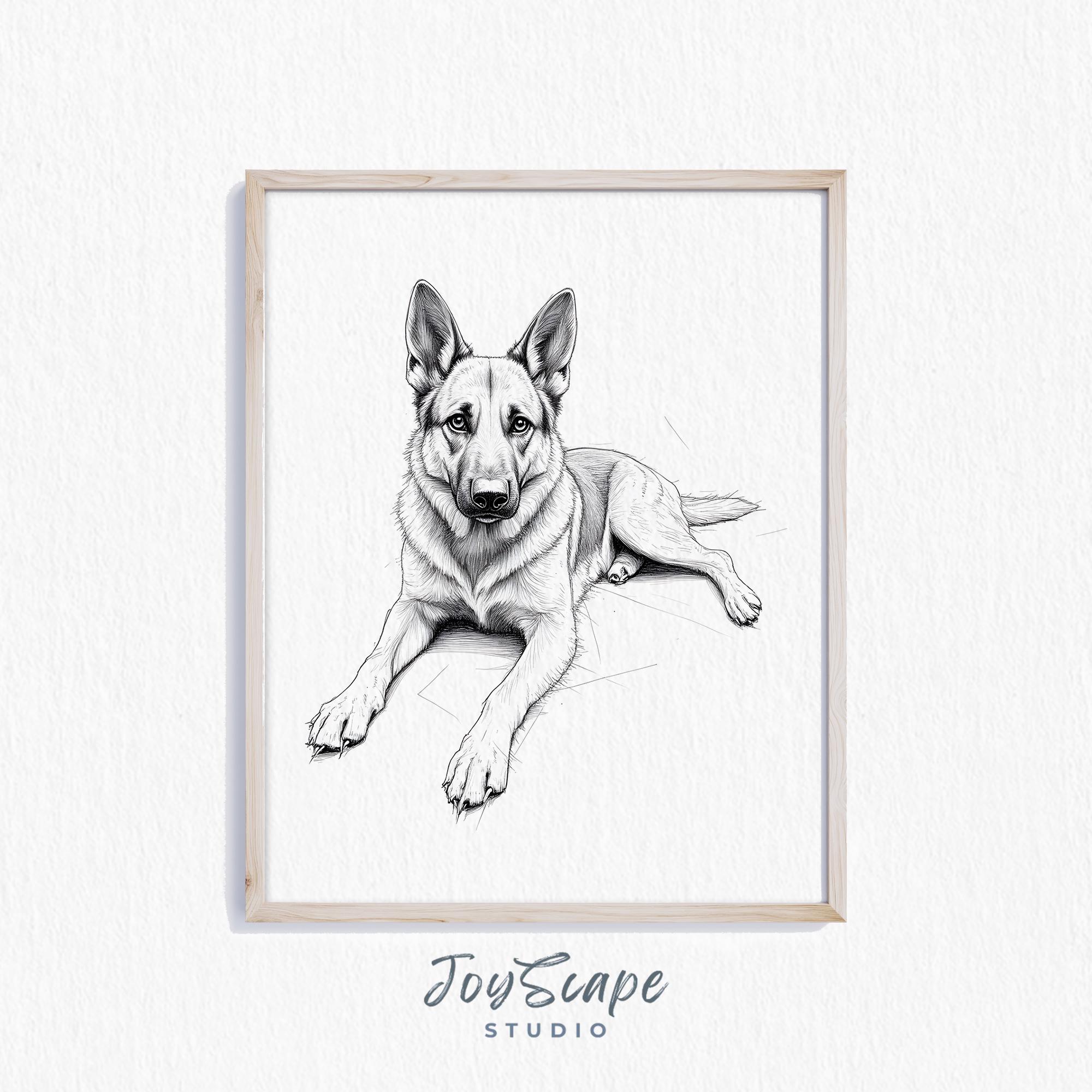 アンティーク絵画 1920年 イギリス シェパード ジャーマンシェパードのスケッチ（印刷可能） - 白黒犬のウォール