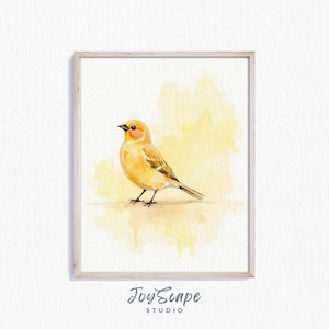 Yellow Canary Pictures - Etsy