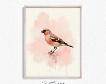 Finch Watercolor Painting Printable - Rustic Wall Art, Earthy Bird Decor, Nursery Nature Art Print, Vintage Style Bird Illustration 257