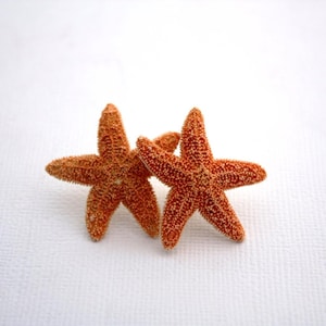 Pendientes de estrella de mar y aguamarina, pendientes de estrella de mar, joyas de estrella de mar, boda en la playa, pendientes de sirena Ariel, joyería de sirena, estilo náutico imagen 18