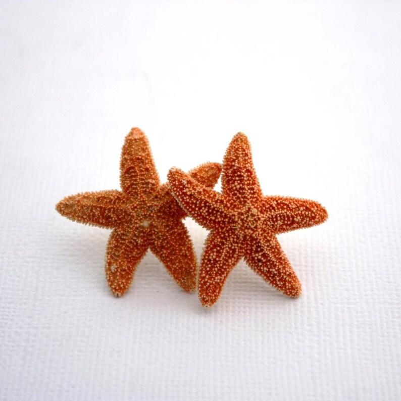 Pendientes de estrella de mar y aguamarina, pendientes de estrella de mar, joyas de estrella de mar, boda en la playa, pendientes de sirena Ariel, joyería de sirena, estilo náutico imagen 18