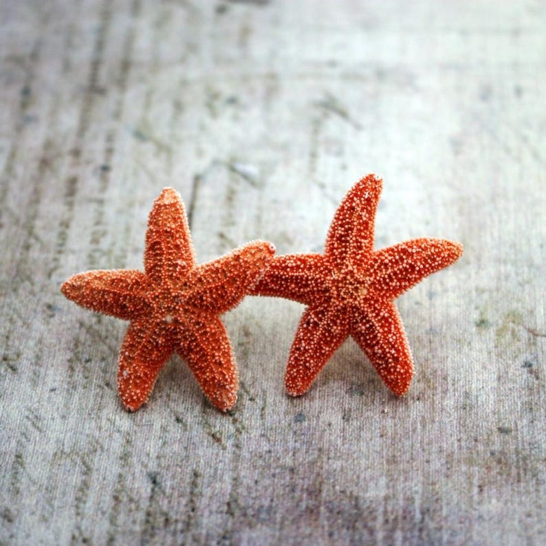 Pendientes de estrella de mar y aguamarina, pendientes de estrella de mar, joyas de estrella de mar, boda en la playa, pendientes de sirena Ariel, joyería de sirena, estilo náutico imagen 2
