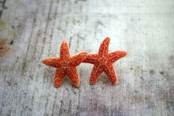Starfish Ear Studs Matte Silver Starfish Starfish Stud Earrings 15mm x 14mm MMRH-311-E Starfish Stud Earrings in Matte Rhodium