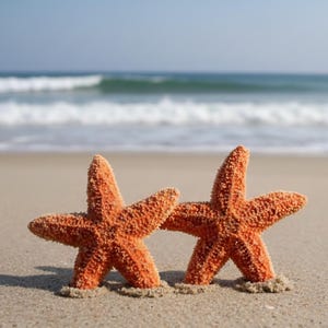 Pendientes de estrella de mar y aguamarina, pendientes de estrella de mar, joyas de estrella de mar, boda en la playa, pendientes de sirena Ariel, joyería de sirena, estilo náutico imagen 10