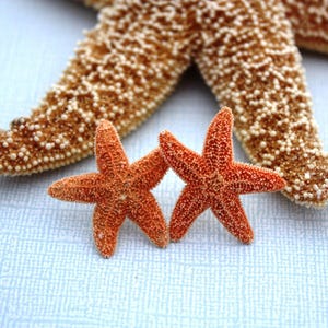 Pendientes de estrella de mar y aguamarina, pendientes de estrella de mar, joyas de estrella de mar, boda en la playa, pendientes de sirena Ariel, joyería de sirena, estilo náutico imagen 15
