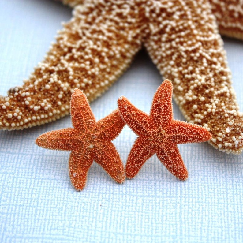 Pendientes de estrella de mar y aguamarina, pendientes de estrella de mar, joyas de estrella de mar, boda en la playa, pendientes de sirena Ariel, joyería de sirena, estilo náutico imagen 15