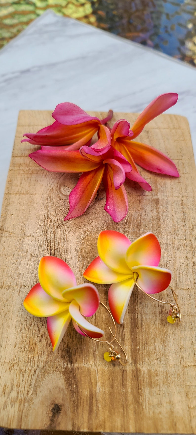 Rainbow Plumeria Flower Earrings Frangipani Floral Earrings Etsy