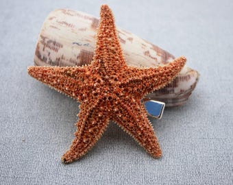 Real Starfish Hair Pin – Beach Wedding Hair Accessory for Brides, Mermaid & Coastal Hairstyles