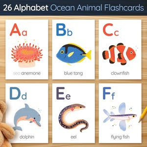 Tarjetas didácticas del alfabeto de animales del océano para niños: tarjetas imprimibles de la A a la Z, herramientas educativas para preescolares y niños pequeños, descarga digital