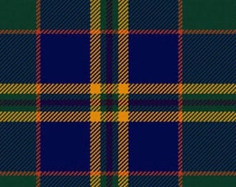 Clan County Kilkenny Tartan Kilt: Acryl, Taille verstellbar