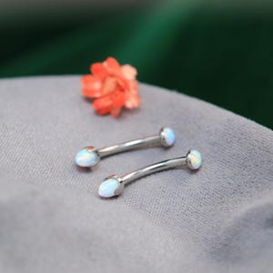 Puede incluir: Dos piercings de barra curvos, de color plateado, con extremos ovalados en forma de ópalo. Las joyas se exhiben sobre una superficie gris, con una flor naranja borrosa en el fondo. Los piercings están diseñados para la modificación corporal.
