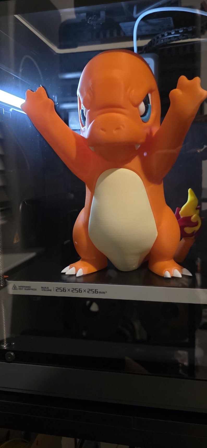 Angry Window Charmander - Etsy