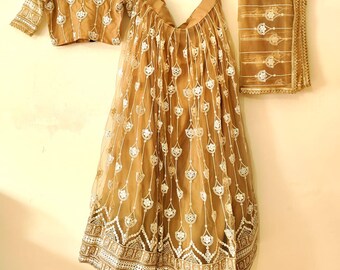 Embroidered Lehenga Choli: Butterfly Net, Zari & Sequence Work