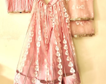 Pink Butterfly Net Lehenga Choli: Indian Wedding Outfit, Zari Embroidery