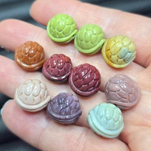 May include: A collection of ten small, turtle-shaped beads in various colors, including green, brown, red, and purple. Each bead has a textured shell design. The beads are held in a hand.