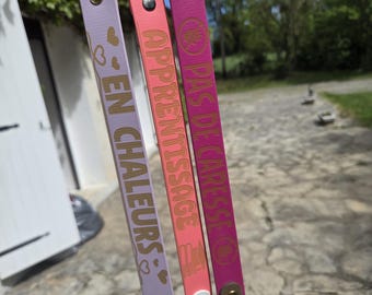 Leash extension / Laser engraving - personalized text - waterproof biothane dog leash