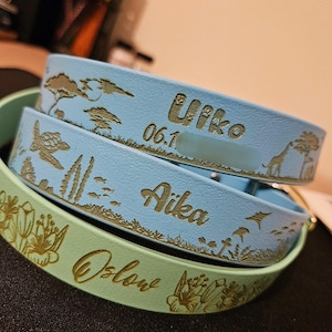Può includere: Due collari azzurri e un collare verde chiaro con disegni incisi al laser. I collari blu mostrano una giraffa, alberi, una tartaruga marina e i nomi Uiko e Aika. Il collare verde chiaro presenta motivi floreali e il nome Oslow.