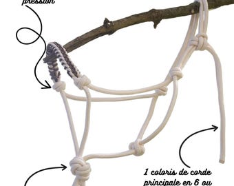 100% customizable / +60 colors - Ethological halter in braided rope - Chenille