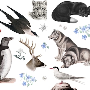 6&quot;x6&quot; Snowy Animal sticker pack, Arctic Stickers, Decals, Weatherproof Vinyl