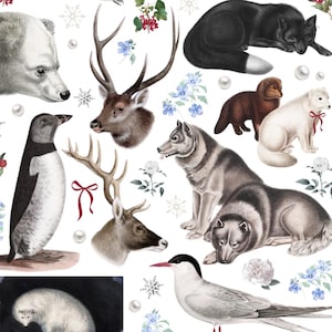 Pacchetto di adesivi Snowy Animal, adesivi artici, decalcomanie, vinile resistente alle intemperie