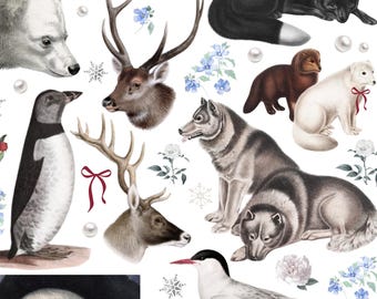 Snowy Animal sticker pack, Arctic Stickers, Decals, Weatherproof Vinyl