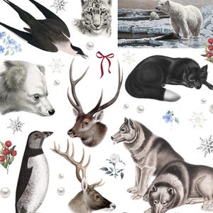 Snowy Animal sticker pack, Arctic Stickers, Decals, Weatherproof Vinyl