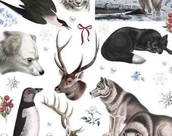 Snowy Animal sticker pack, Arctic Stickers, Decals, Weatherproof Vinyl