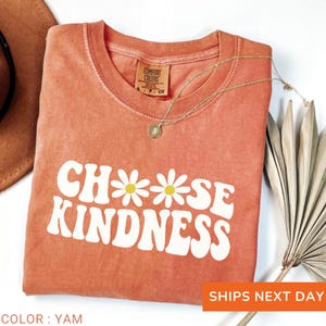 Comfort Colors® Teacher Shirt, Choose Kindness Shirt Gift For Teacher, Daisy Shirt, Back To School Shirt, Be Kind Shirt, Teacher Shirts v2