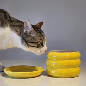 May include: A yellow ceramic cat bowl and a matching dish sit on a white surface. The bowl has a stacked design. A tabby cat with white and brown fur is looking at the bowl.