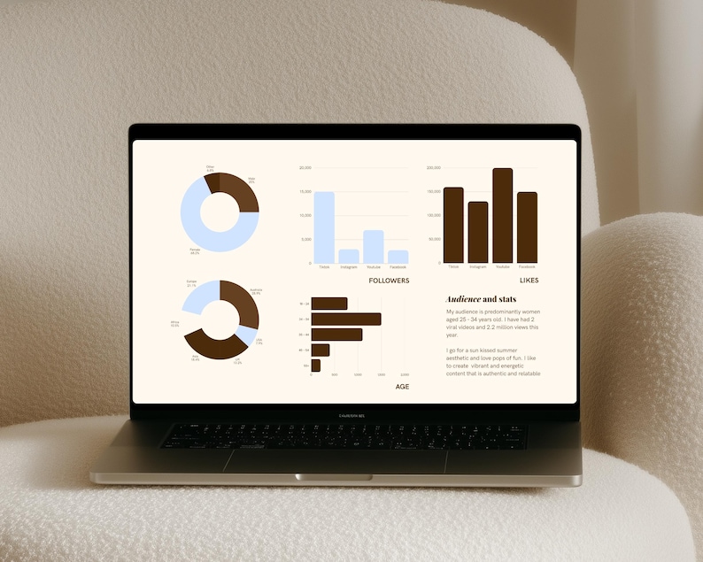May include: A laptop screen displaying a digital dashboard with data visualizations including two donut charts, a bar chart for followers, a bar chart for likes, and a horizontal bar chart for age demographics, with text titled Audience and stats.