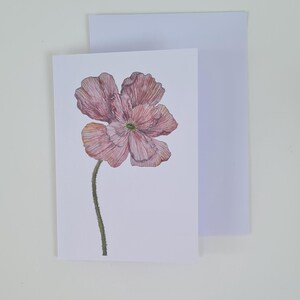 Biglietto d'auguri in formato A6 con illustrazione di papavero islandese rosa cipria e busta bianca abbinata