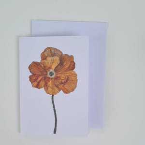 Pavot d'Islande orange mandarine | Carte de voeux A6 avec enveloppe blanche assortie