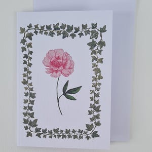 Illustrazione di una peonia rosa con cornice di edera verde / Biglietto d'auguri A6 con busta bianca abbinata