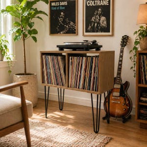 Modernes Schallplattenregal Holz, Plattenspieler Regal mit Vinyl Fach