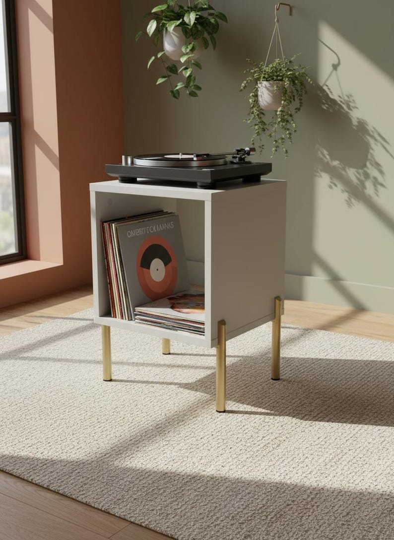 Modern record player stand with spacious vinyl storage below and a sturdy top surface for a turntable. Minimalist design made from solid wood, ideal for living room or music corner organization.