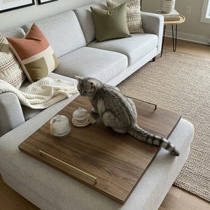 Könnte beinhalten: Eine graue Katze sitzt auf einem Holztablett mit Messinggriffen, das auf einem hellgrauen Sofa platziert ist. Das Tablett enthält zwei Glasbehälter. Kissen in Orange-, Grün- und Beigetönen schmücken das Sofa. Ein Teppich und ein Beistelltisch sind ebenfalls zu sehen.