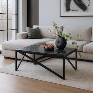 Low Coffee Table with Shelf, Metal Frame Coffee Table, Minimalist Modern Design, Metallic Black Table, Contemporary Low Table