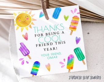Summer End of year friend tags, popsicle Gift tags or stickers - End of year student thank you gifts ,Teacher appreciation, Digital Download