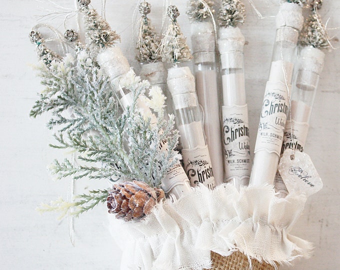 Christmas Wish Test Tube Ornament Keepsake With Christmas Tree Toppers