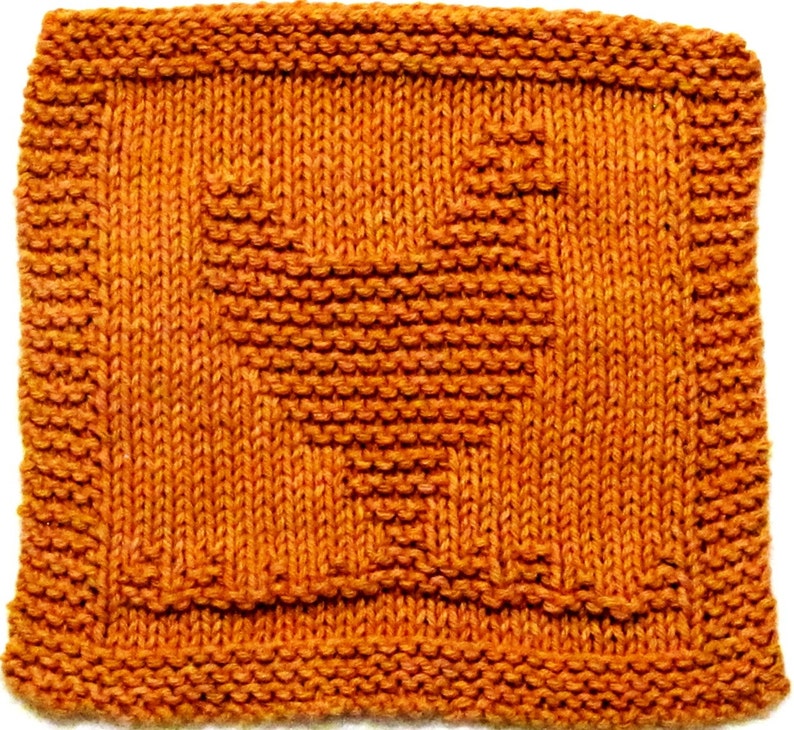 Knitting Cloth Pattern CHICKEN PDF image 1