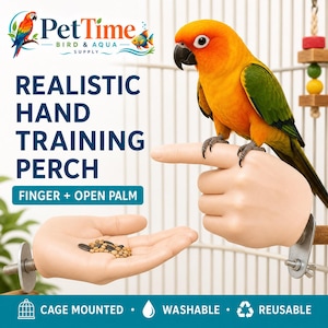Peut inclure: Un perchoir d'entraînement réaliste en forme de main pour oiseaux, comprenant un perchoir en forme de doigt et un autre en forme de paume ouverte pour nourrir. Fixation par matériel métallique. Texte : PetTime Bird & Aqua Supply, Realistic Hand Training Perch, Finger + Open Palm, Cage Mounted, Washable, Reusable.