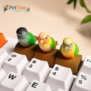 Op de afbeelding: Drie kleine vogelbeeldjes op bruine cilindrische voetjes die op een wit computertoetsenbord rusten. De vogels zijn groen, geel en oranje gekleurd met gedetailleerde kenmerken. Het logo van PetTime Bird & Aqua Supply is in de hoek zichtbaar.