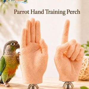 Könnte beinhalten: Zwei beige, texturierte handförmige Papageien-Trainingsstangen mit Metall-Flügelmuttern als Basis. Eine Hand ist offen mit ausgestreckten Fingern, die andere zeigt mit dem Zeigefinger. Ein kleiner grüner und orangefarbener Papagei steht daneben.