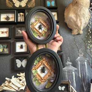 May include: Two oval black frames connected by a green ribbon, each containing a preserved iridescent green beetle centered within a small ornate gold frame. The background inside each oval frame features a light-colored pinstriped pattern with green leaves.