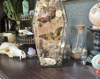 May include: A glass coffin-shaped display case with butterflies, dried flowers, and vintage ephemera. The case features the words "Day Book" and is surrounded by other curiosities, including a skull and crystals.