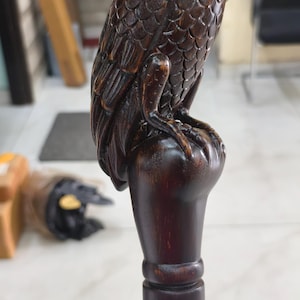 Puede incluir: Un bastón de madera marrón oscuro con una cabeza de búho tallada. El búho está posado sobre el mango, con tallas detalladas de plumas y ojos. El bastón mide aproximadamente 91 cm de largo.