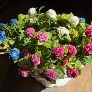 Rosa miniatyrhortensia för landskap, krukor, design och dekoration - skala 1:12