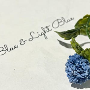 May include: A close-up of a light blue flower with green leaves and stems. The words "Blue & Light Blue" are written in cursive script on a white background. The flower is in full bloom.