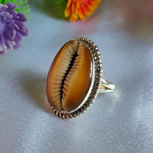 Puede incluir: Un anillo de plata con una gran concha de cauri ovalada. La concha es de color marrón cálido con una superficie texturizada y una ranura central. El engaste del anillo es plateado con un borde de cuentas.